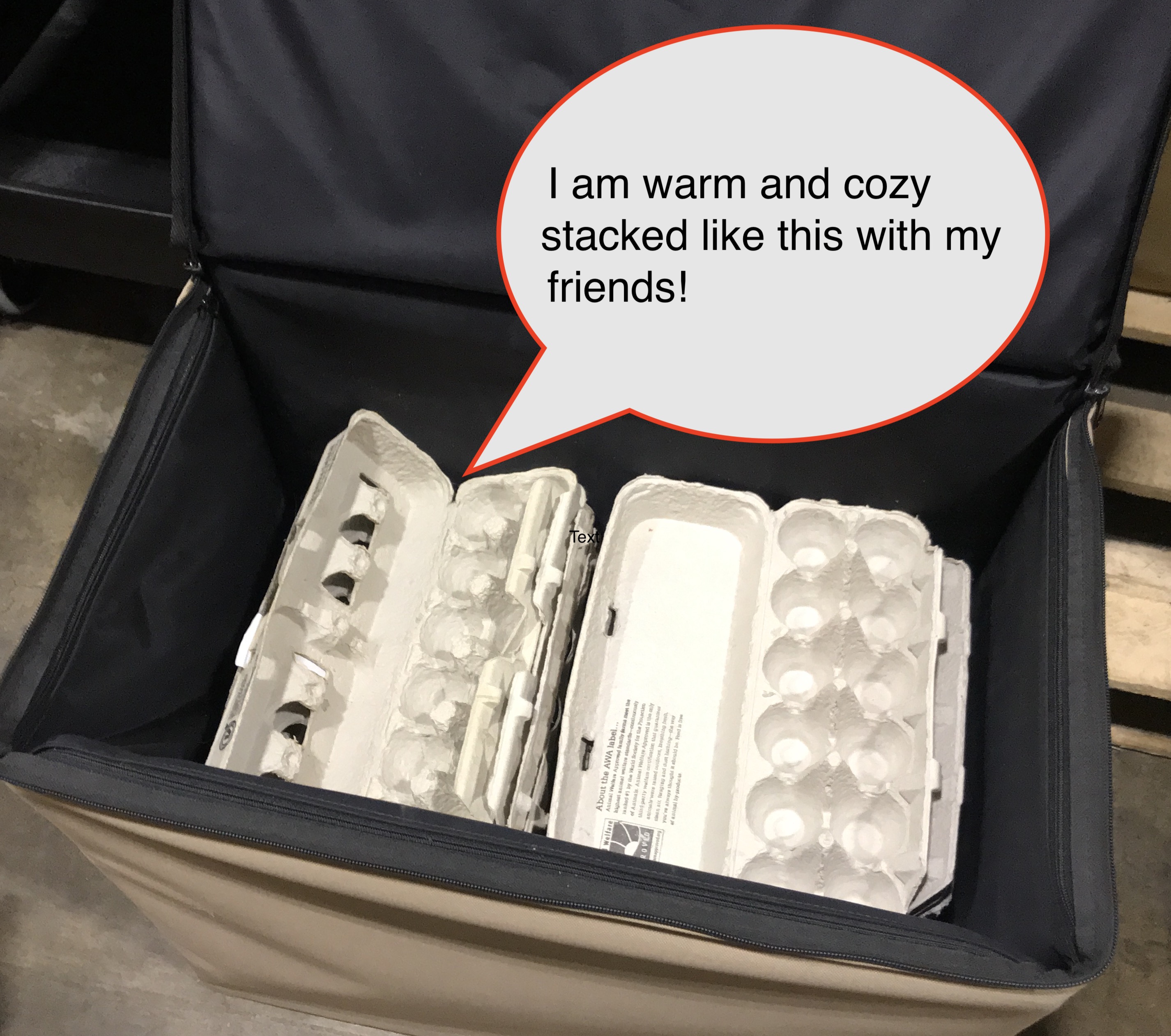 Returning Coolers and Egg Cartons for Reuse TC.Farm Fine Food